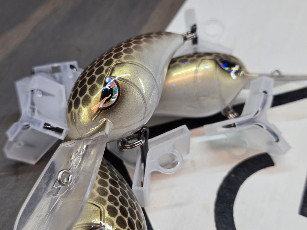 RK55- Smokey Golden Croaker