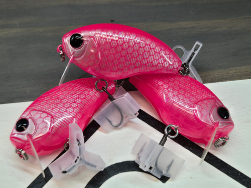 Chatter- Pinky