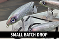 Walking Stick Purple Crackle close-up with Small Batch Drop banner